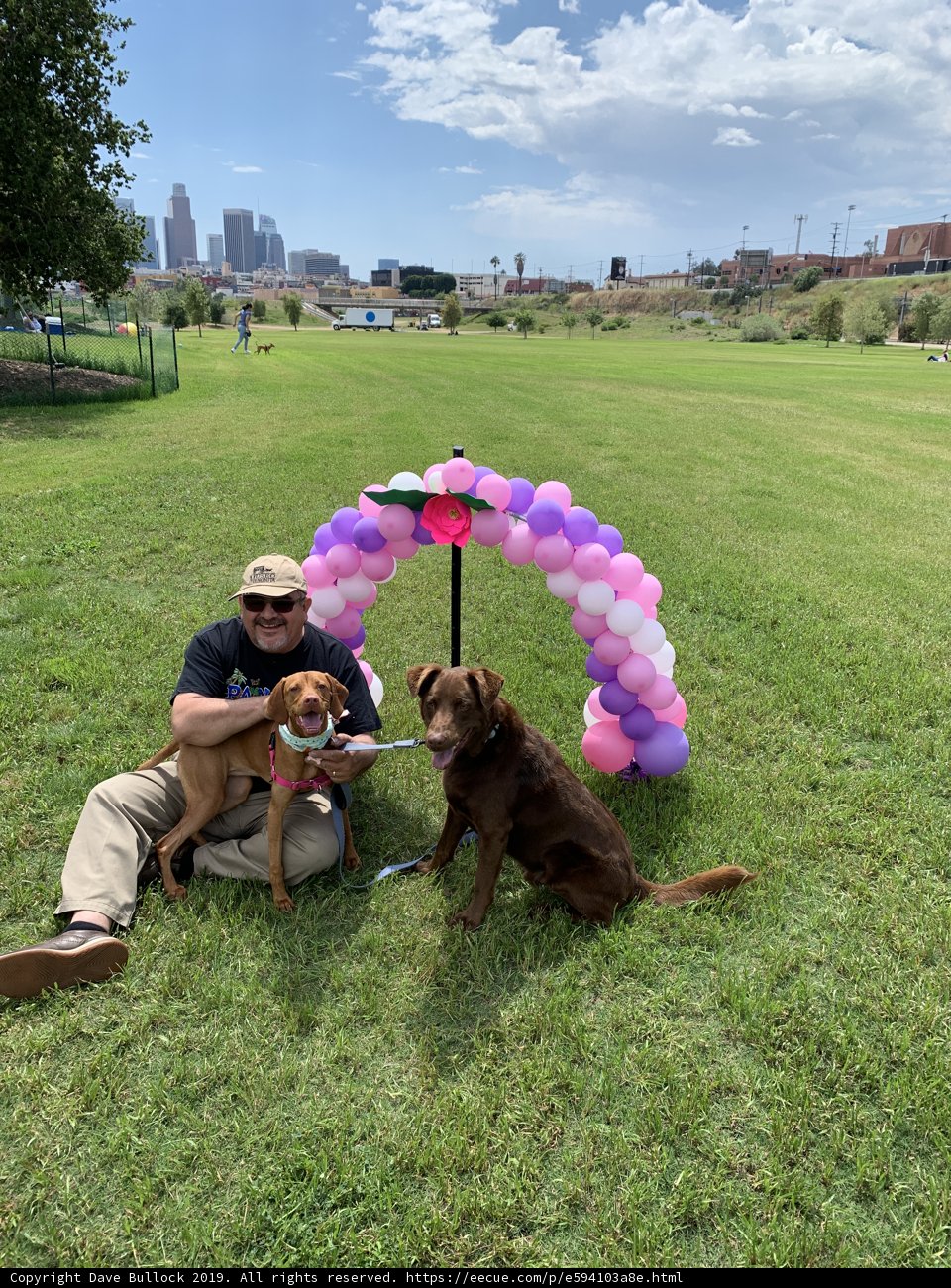 Balloons and Pups in the Park