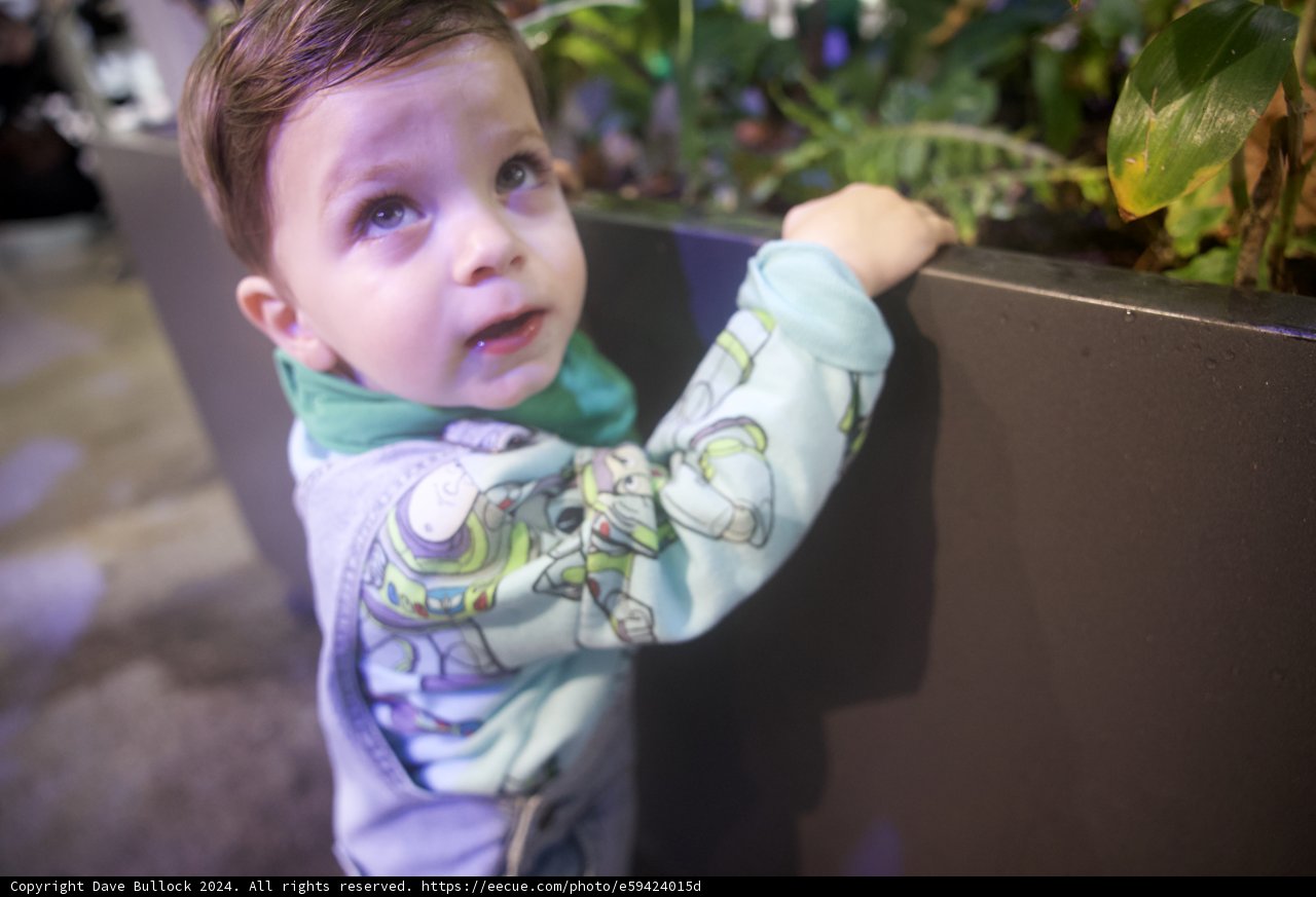 Young Explorer Amidst Urban Greenery