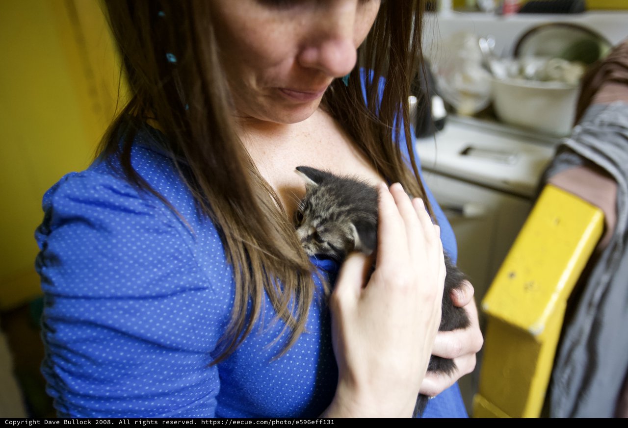 Tender Moment: Woman Cradles Tiny Tabby Kitten
