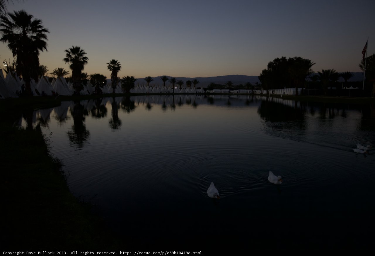 Serene Sunset Scene with Swans