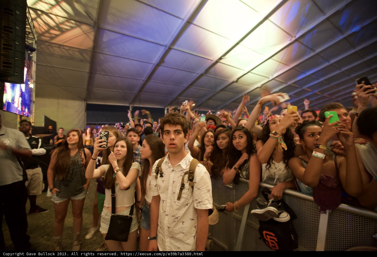 Festival Fever