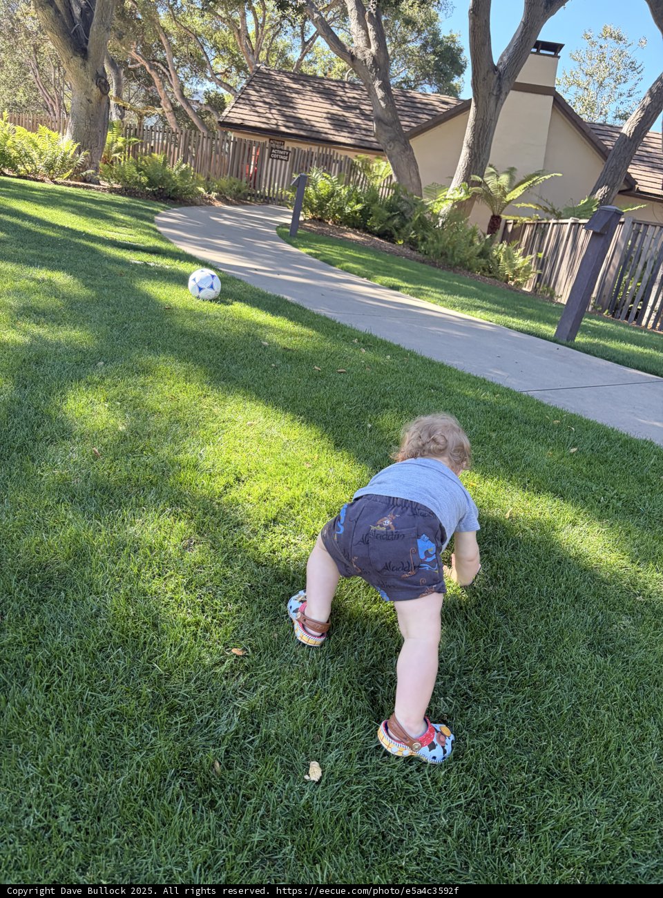Backyard Soccer Dreams