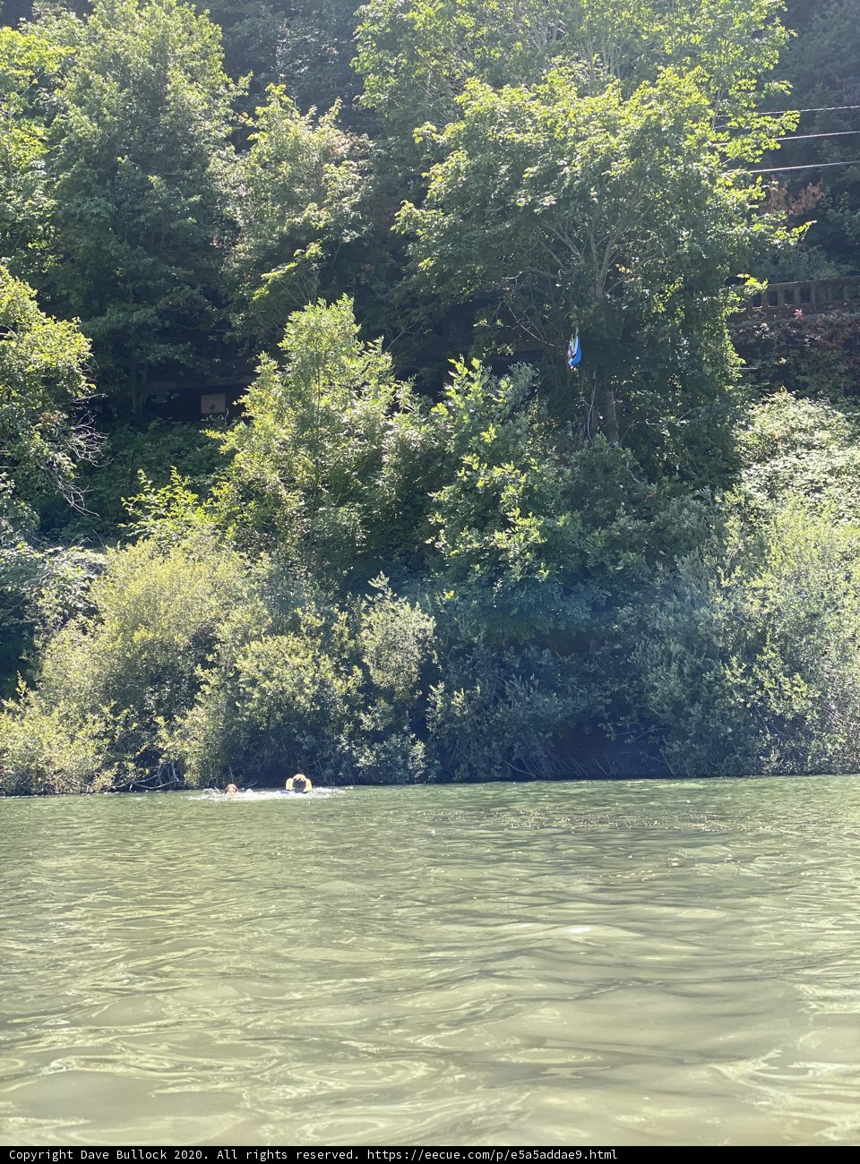 Kite-flying amidst the scenic wilderness of Monte Rio Beach