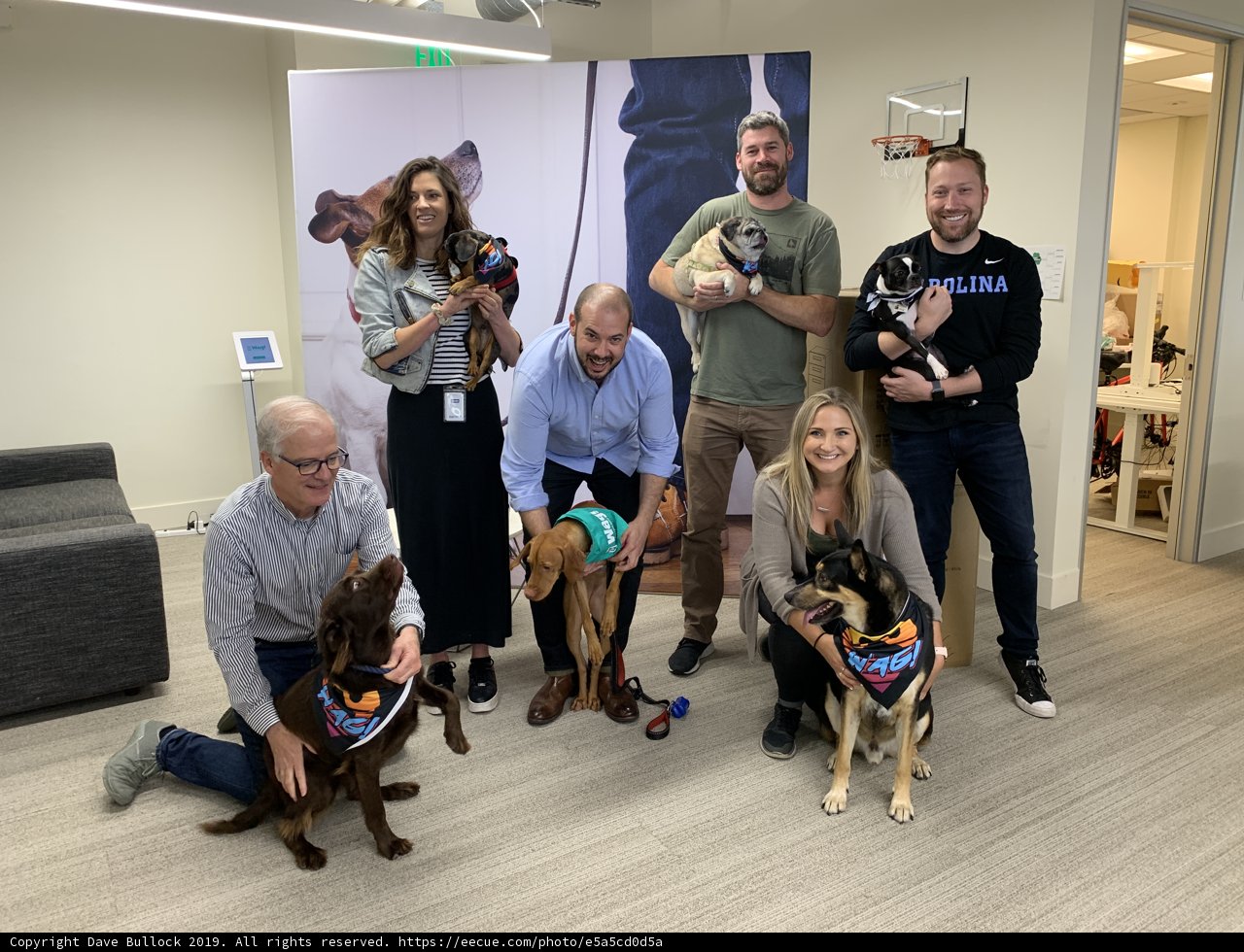 Office Pals with Furry Friends
