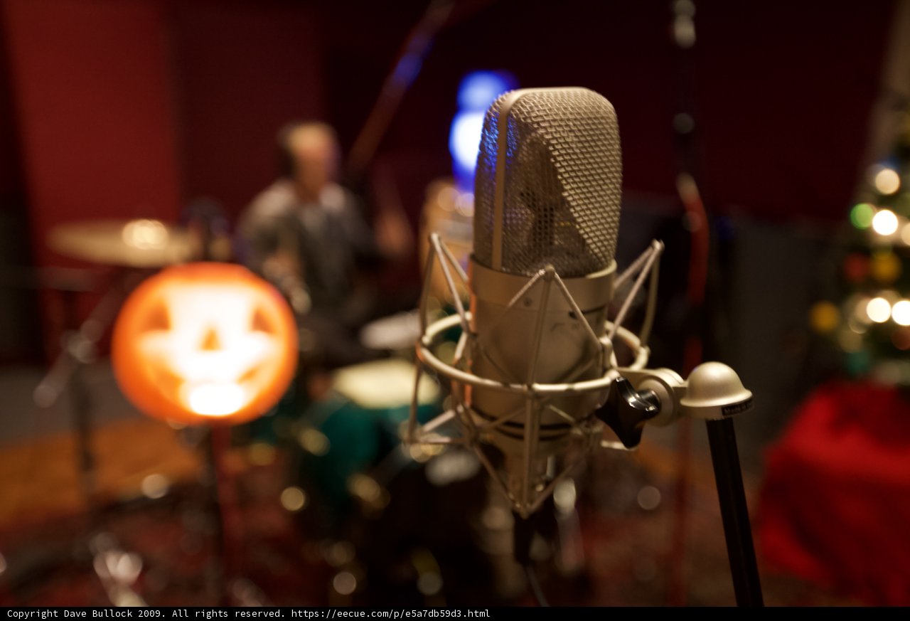 Christmas Cheer in the Studio