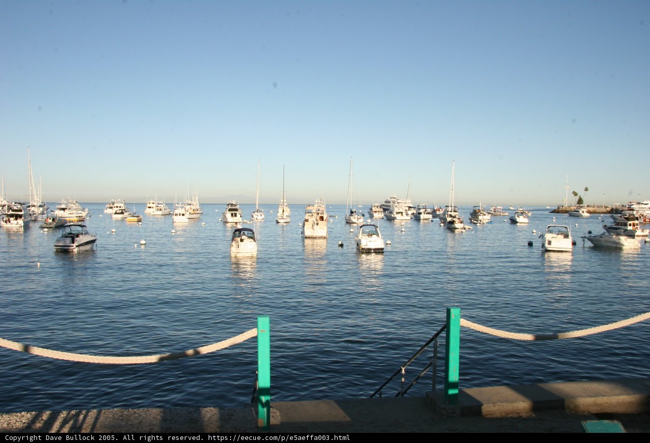 Boats at Marina