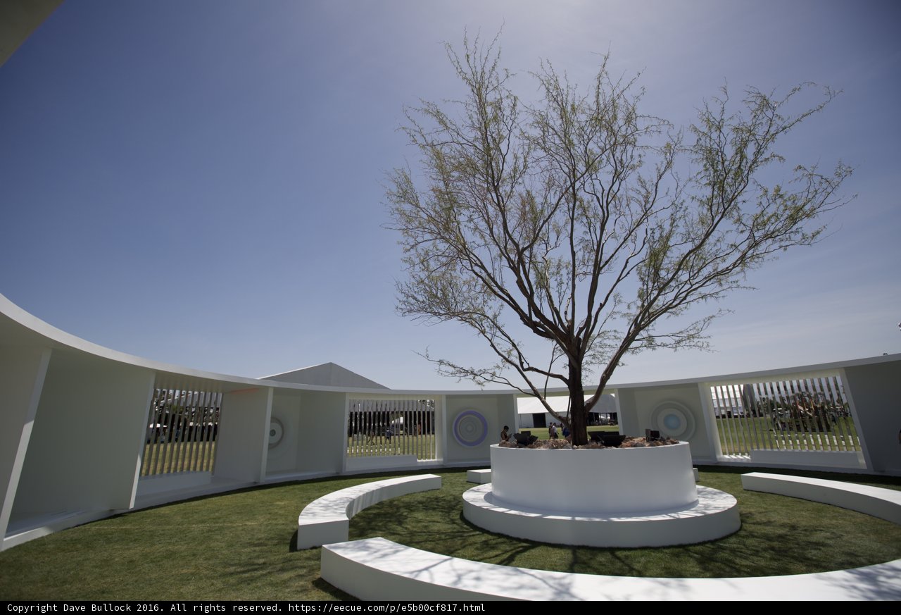 The Tree Circle