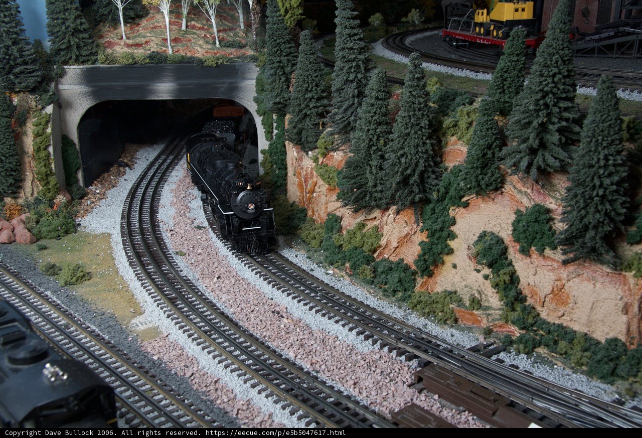 All Aboard the Model Train Through the Forest