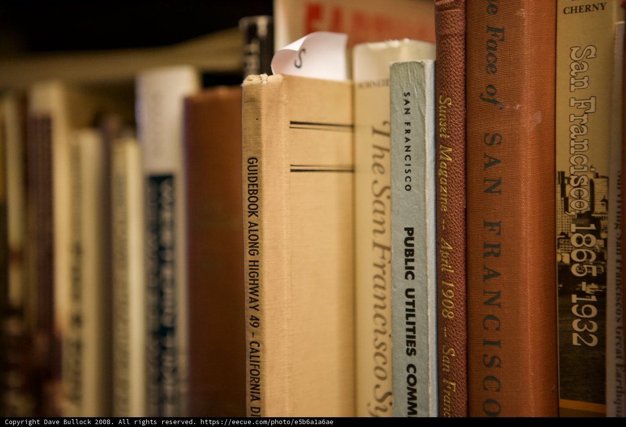 A Quiet Moment in the Library