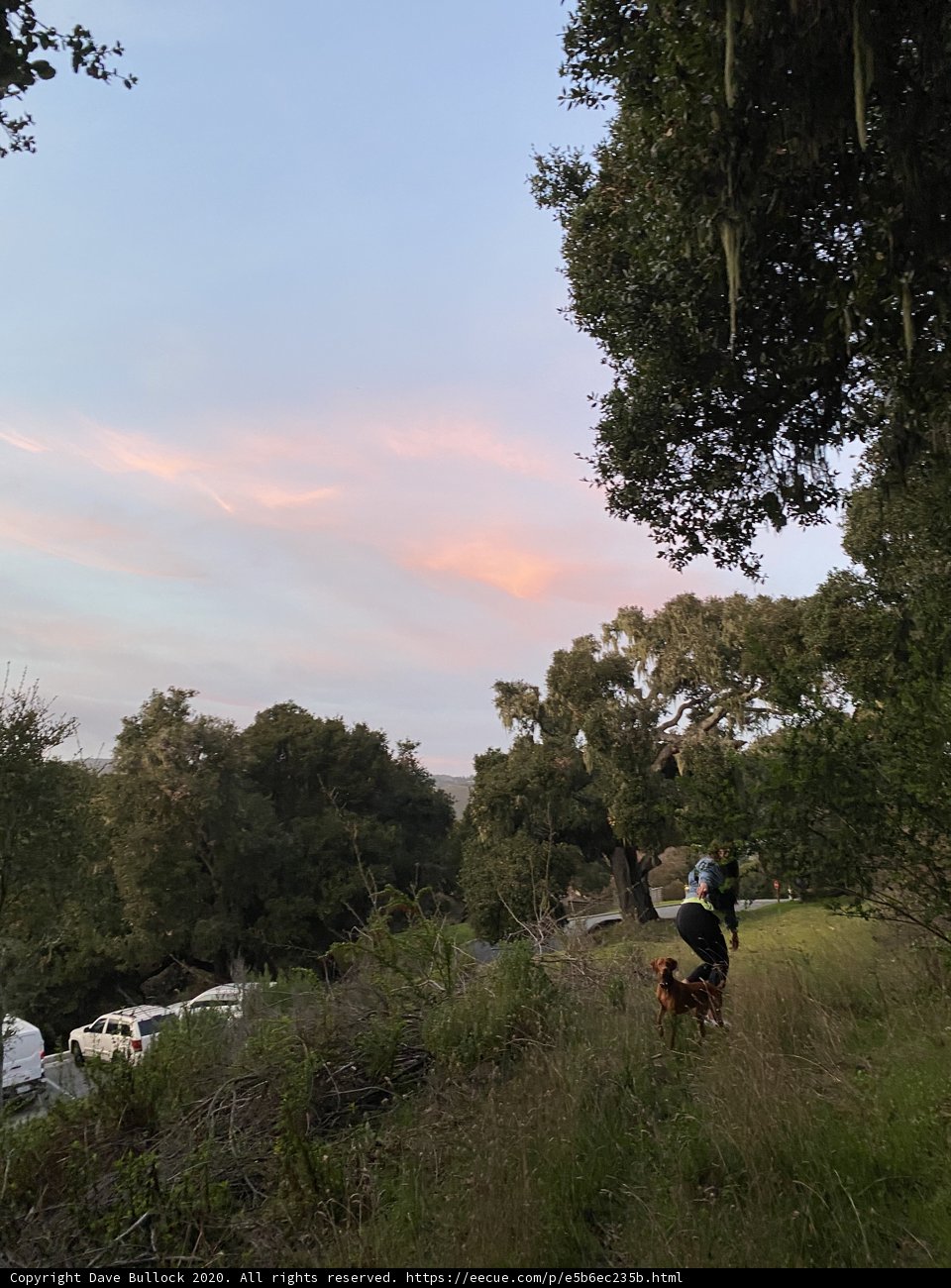 Biking Through the Grove