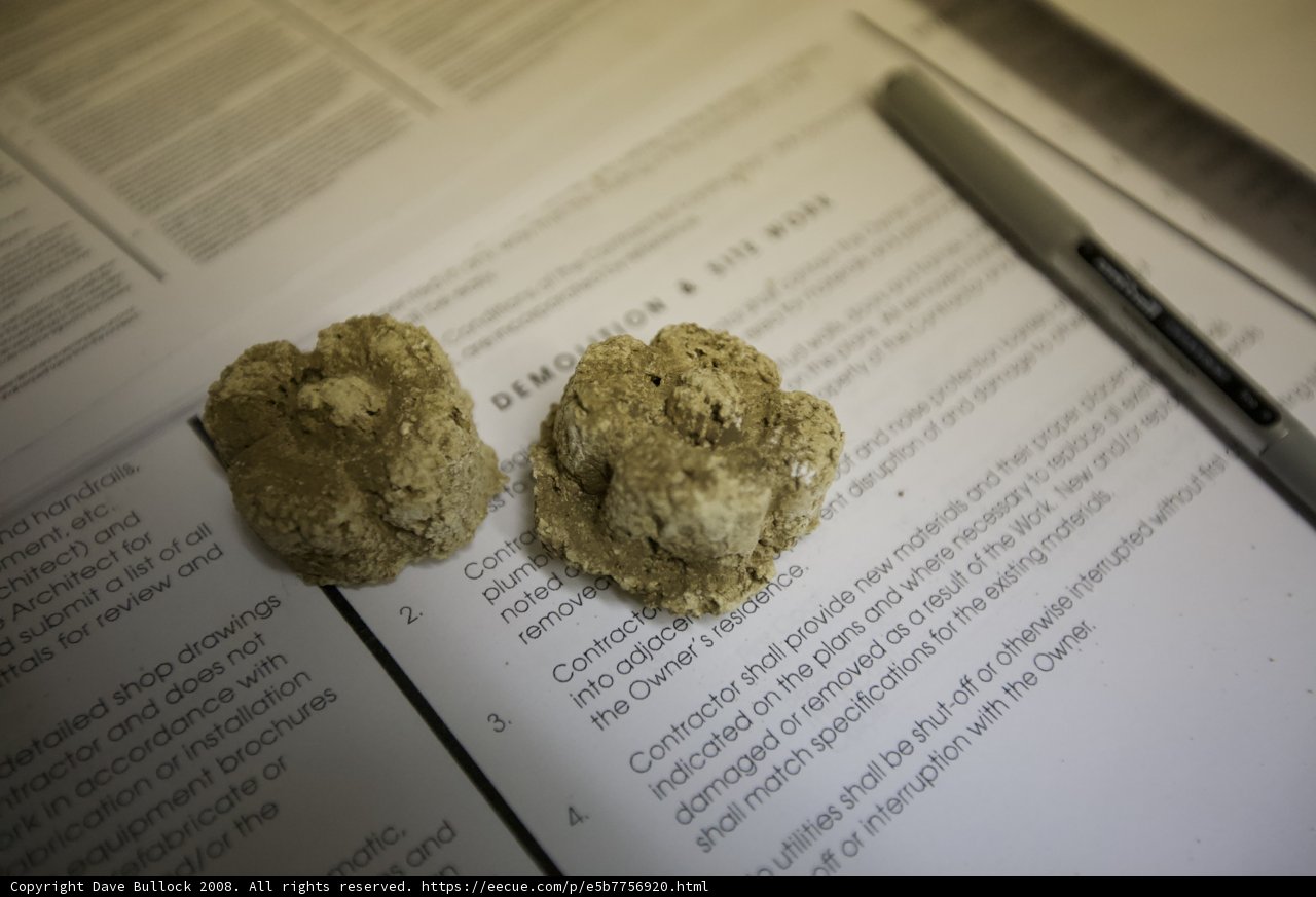 Document Preservation Efforts
