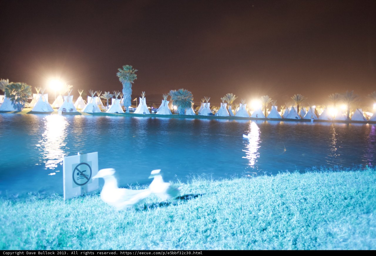 Night Flare on Lake with Ducks
