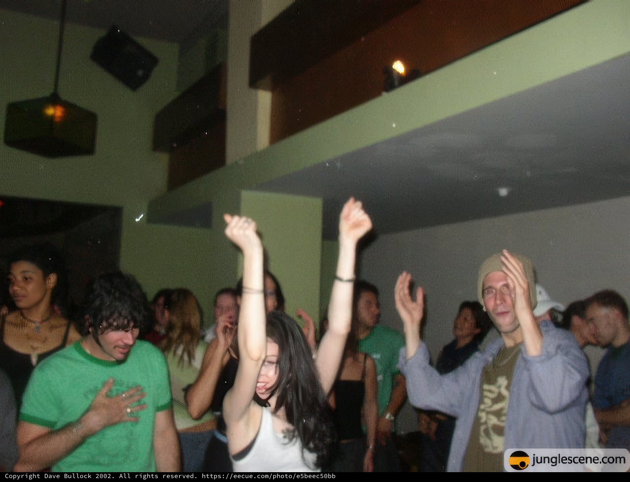 Night Club Partygoers Throw Their Hands Up