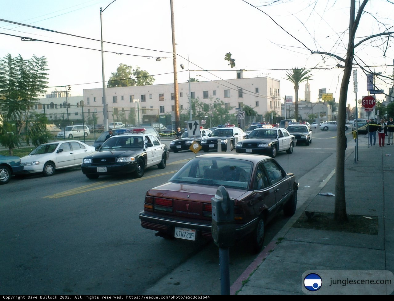 A City Street with Parked Cars and a Police Car