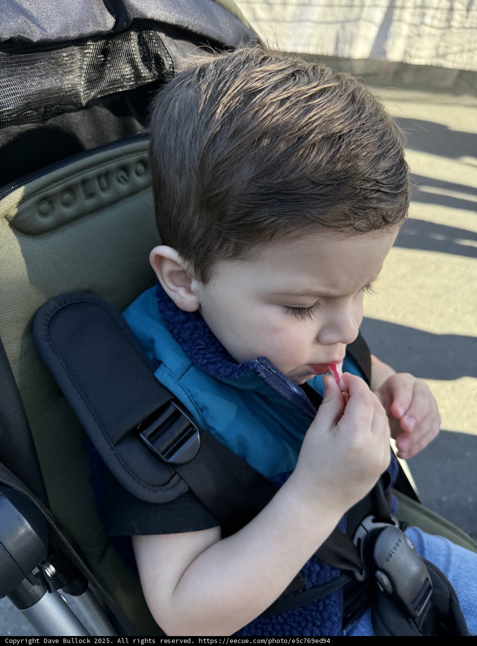 Sweet Moments in Walnut Creek
