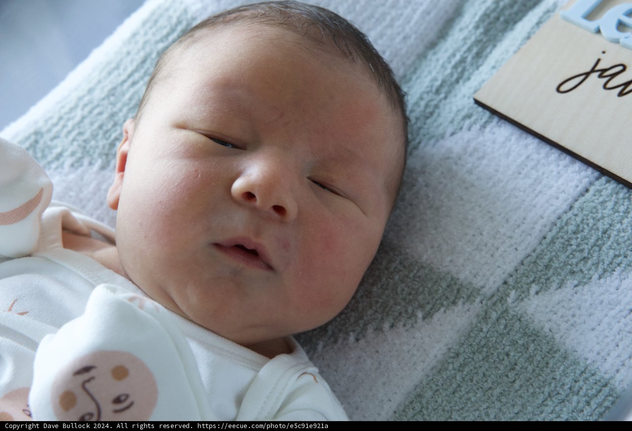 Welcome to the World, Leland