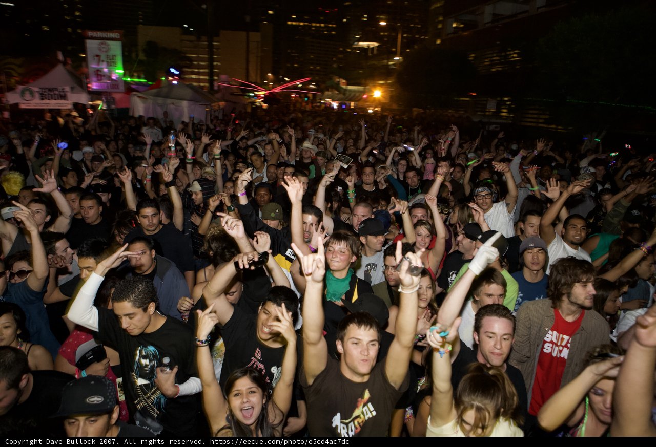 Nocturnal Crowd Goes Wild at Concert