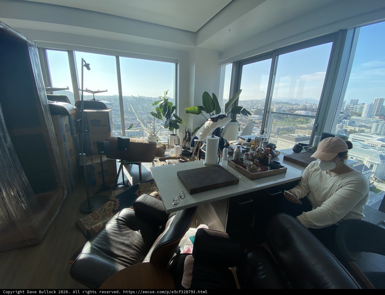 Penthouse Living Room with a View