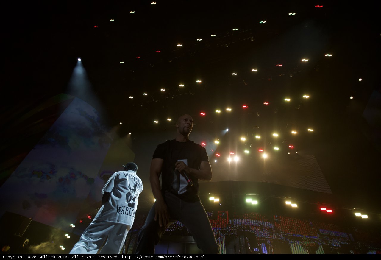 Rocking the Stage: Common and Guest Performer Light Up the Night