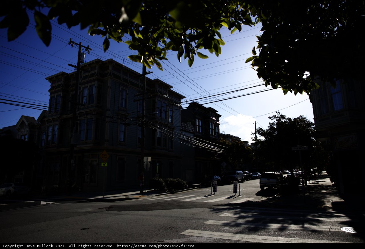 Urban Oasis: Alamo Square 2023