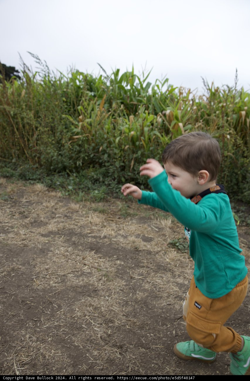 Joyful Exploration