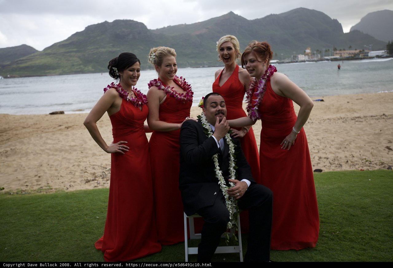 The Red Dress Bridesmaids