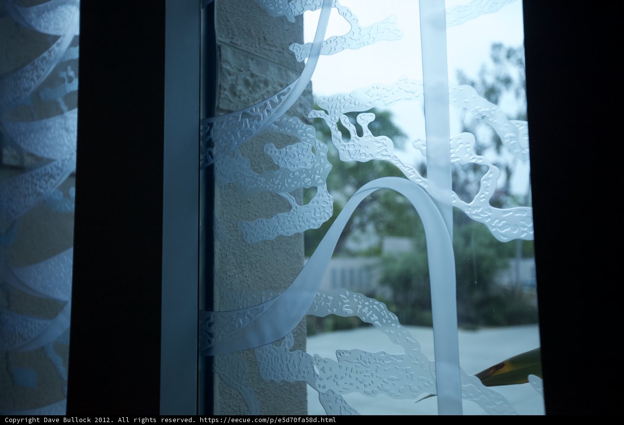Reflections of the Outdoors through a Lace Window