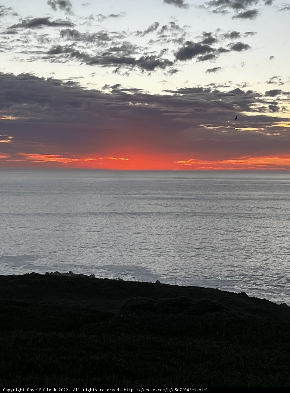 Golden Horizon