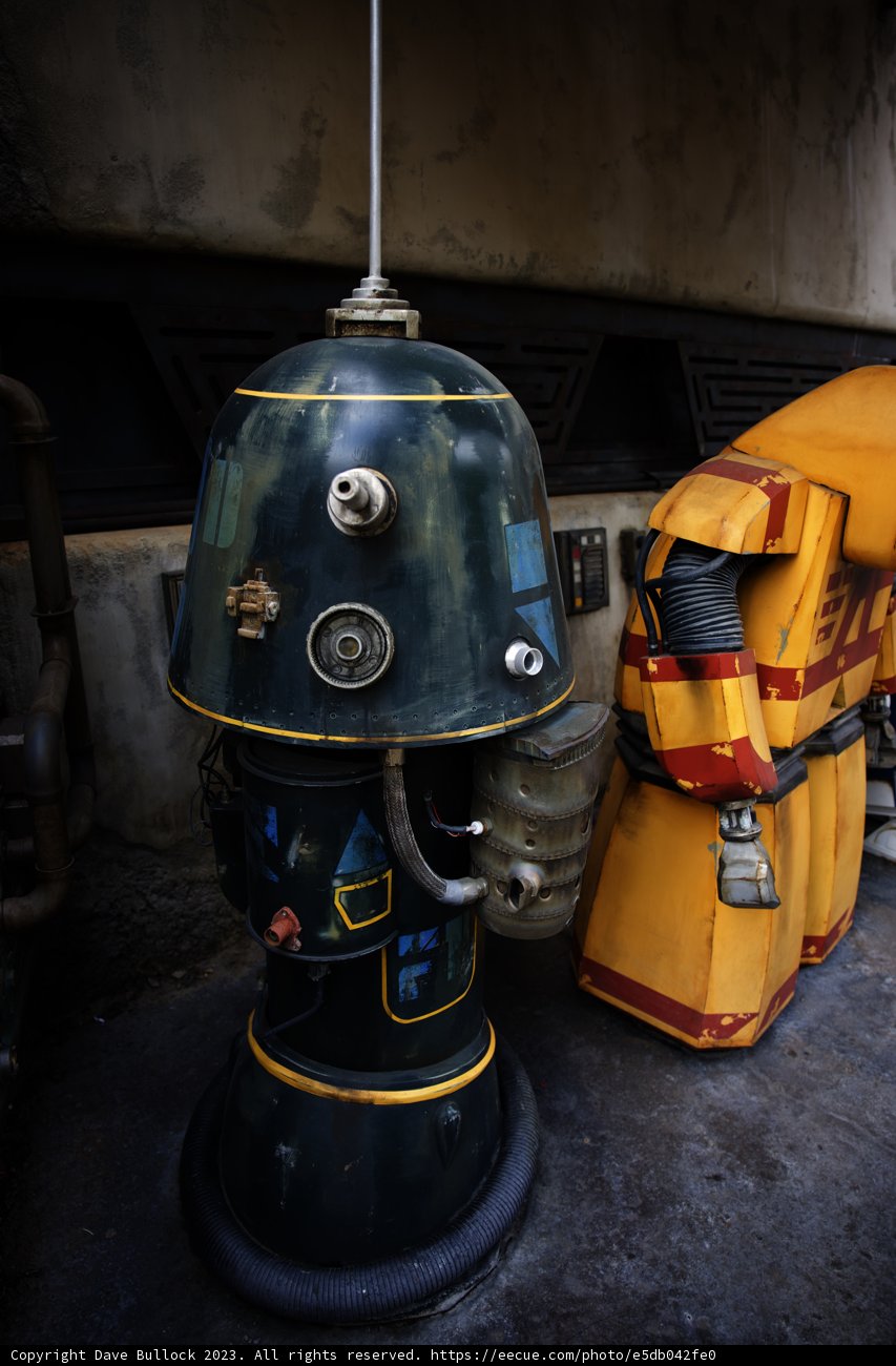 Robotic Buddy at Disneyland