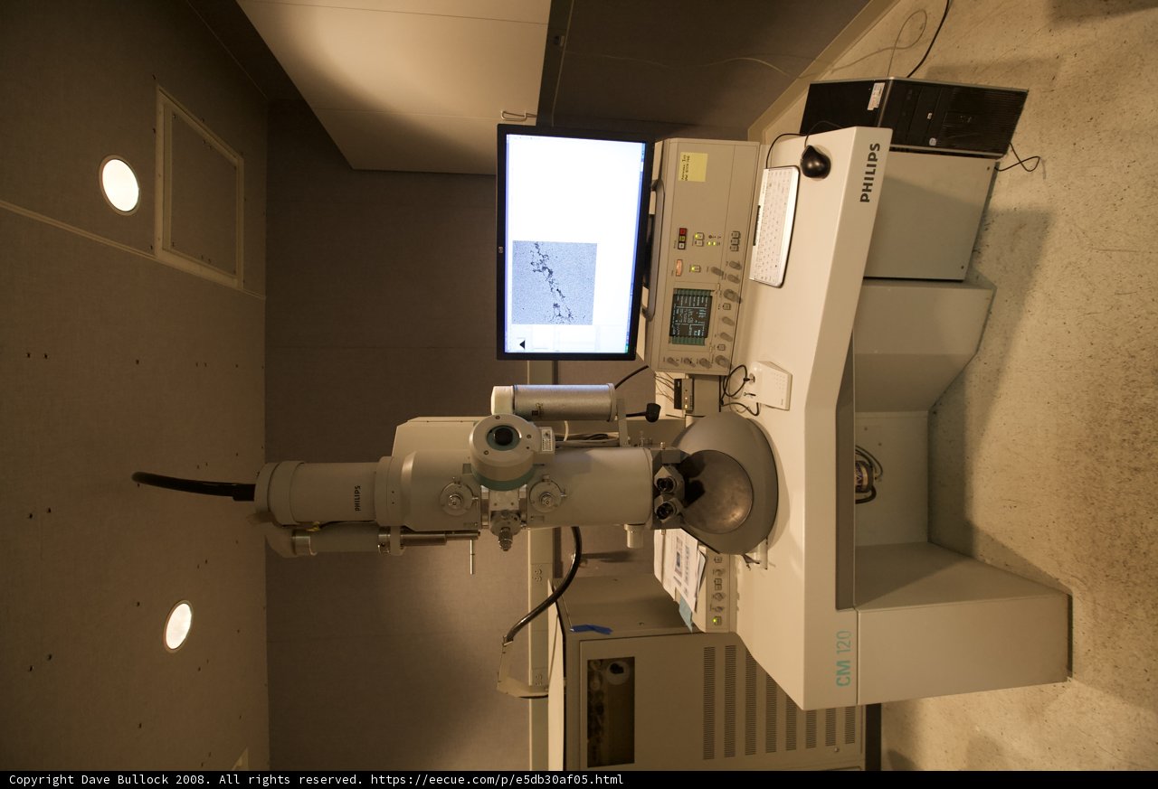 Microscopic View of the Quantum World