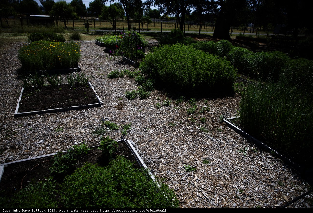Flourishing Raised Garden Beds