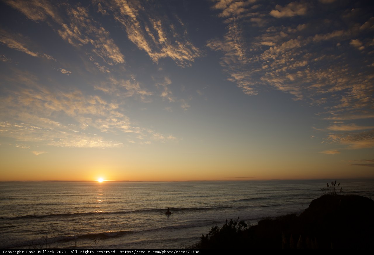 Golden Horizons - Halfmoon Bay, 2023