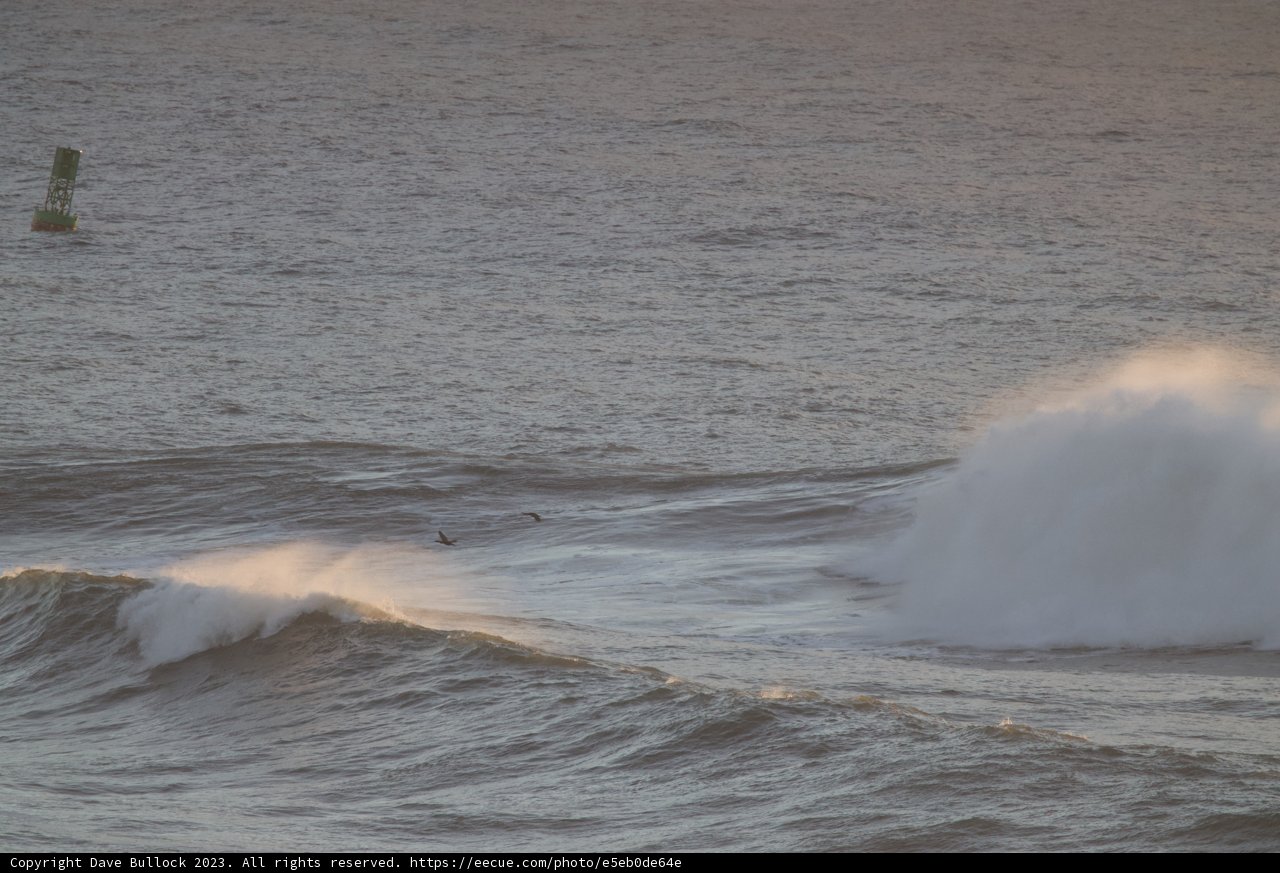 The Dance with the Mighty Pacific