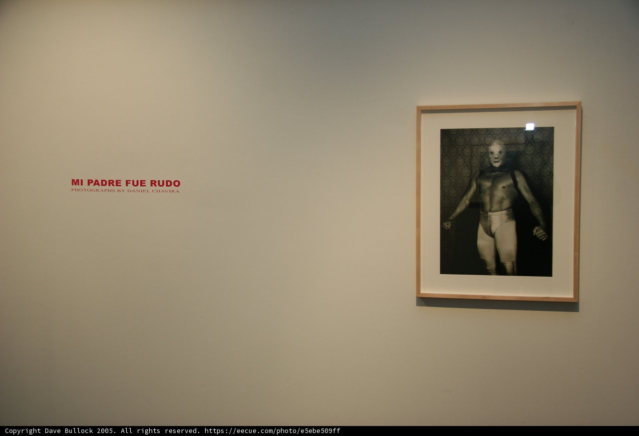 Contemplating the Art