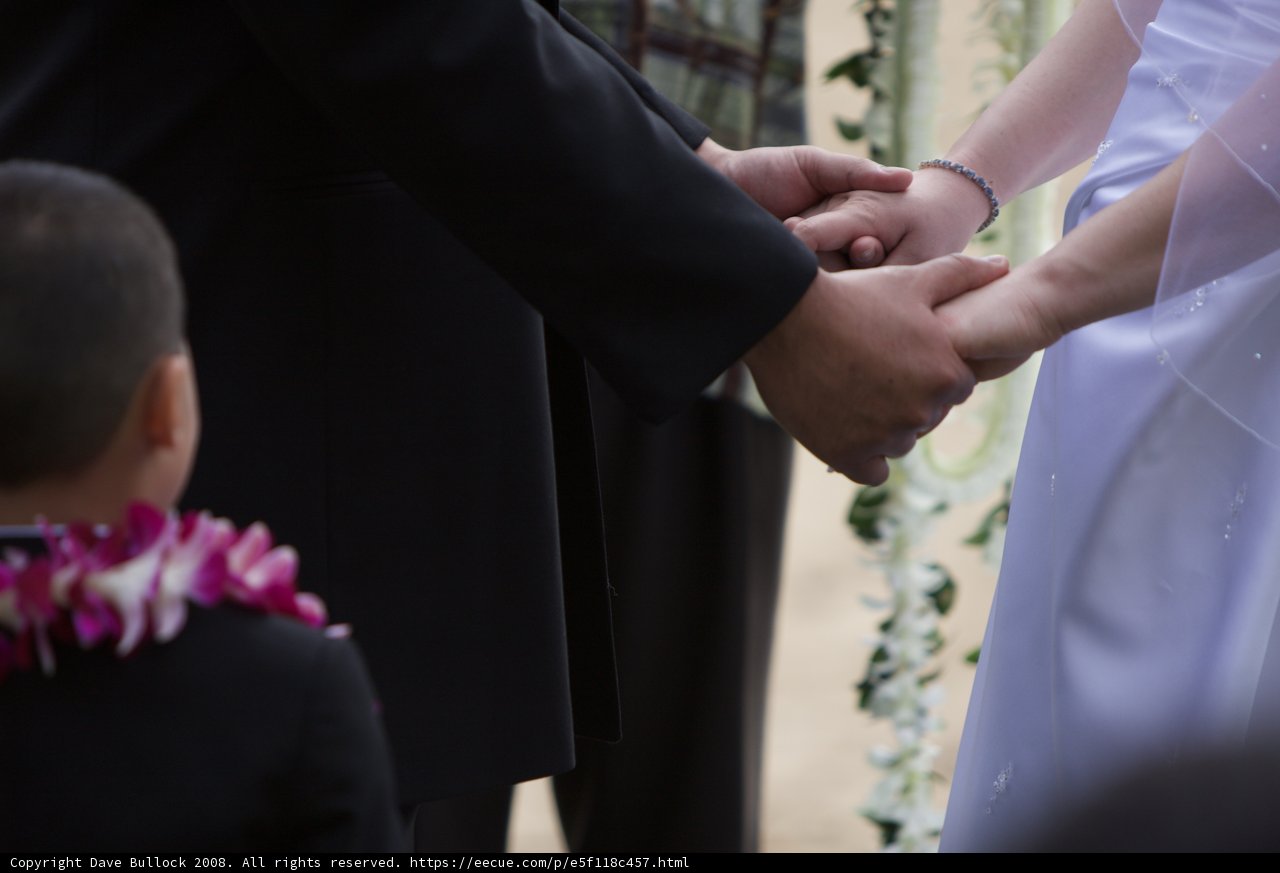 A Blooming Connection