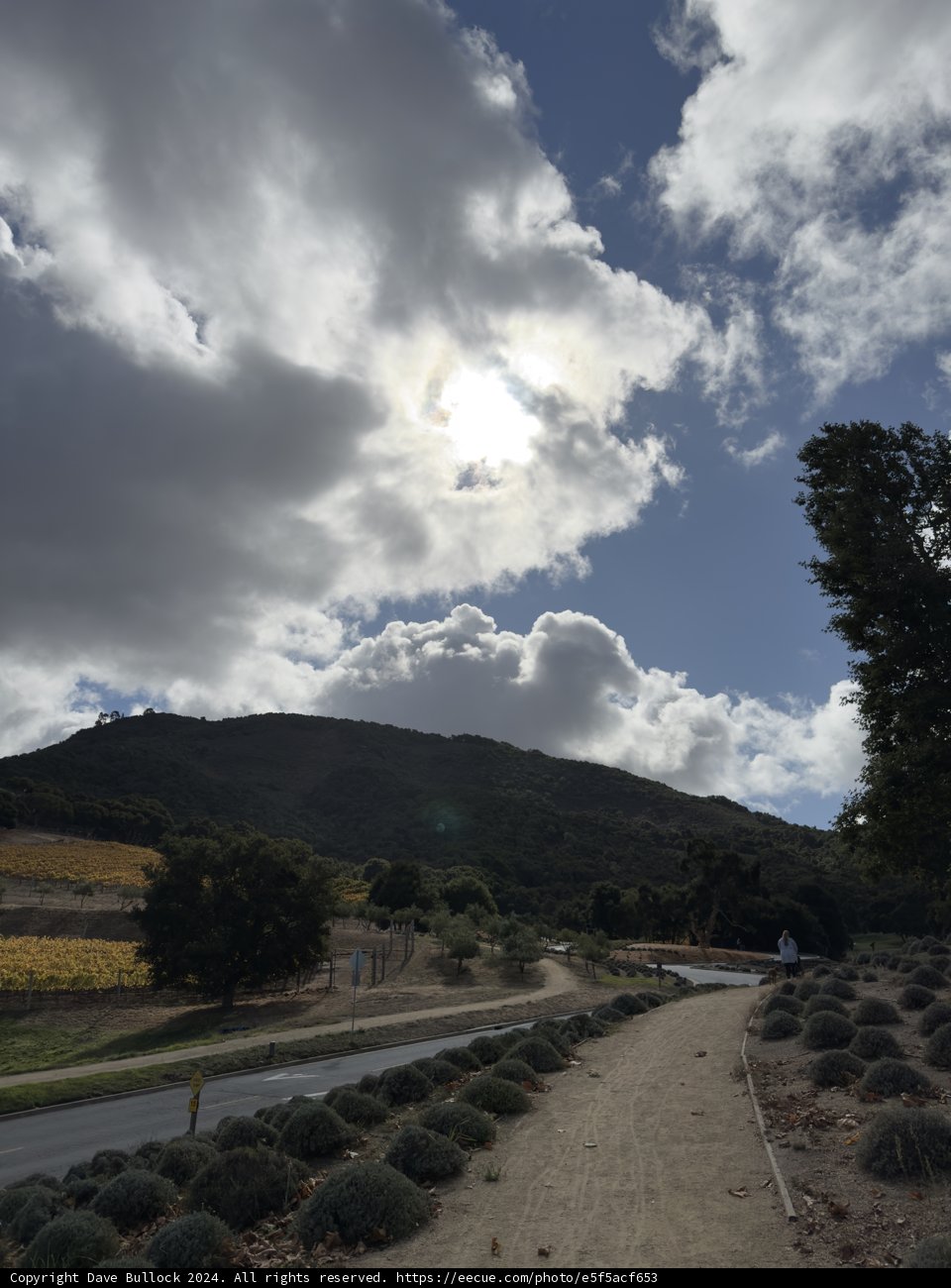 Autumn Beneath the Clouds