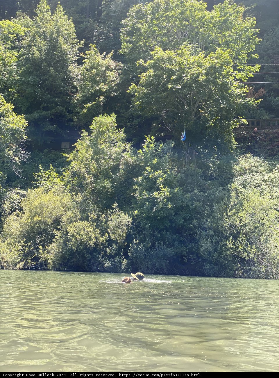 River Adventure