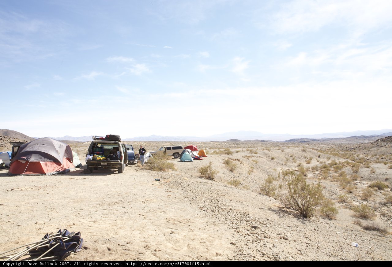 Desert Oasis