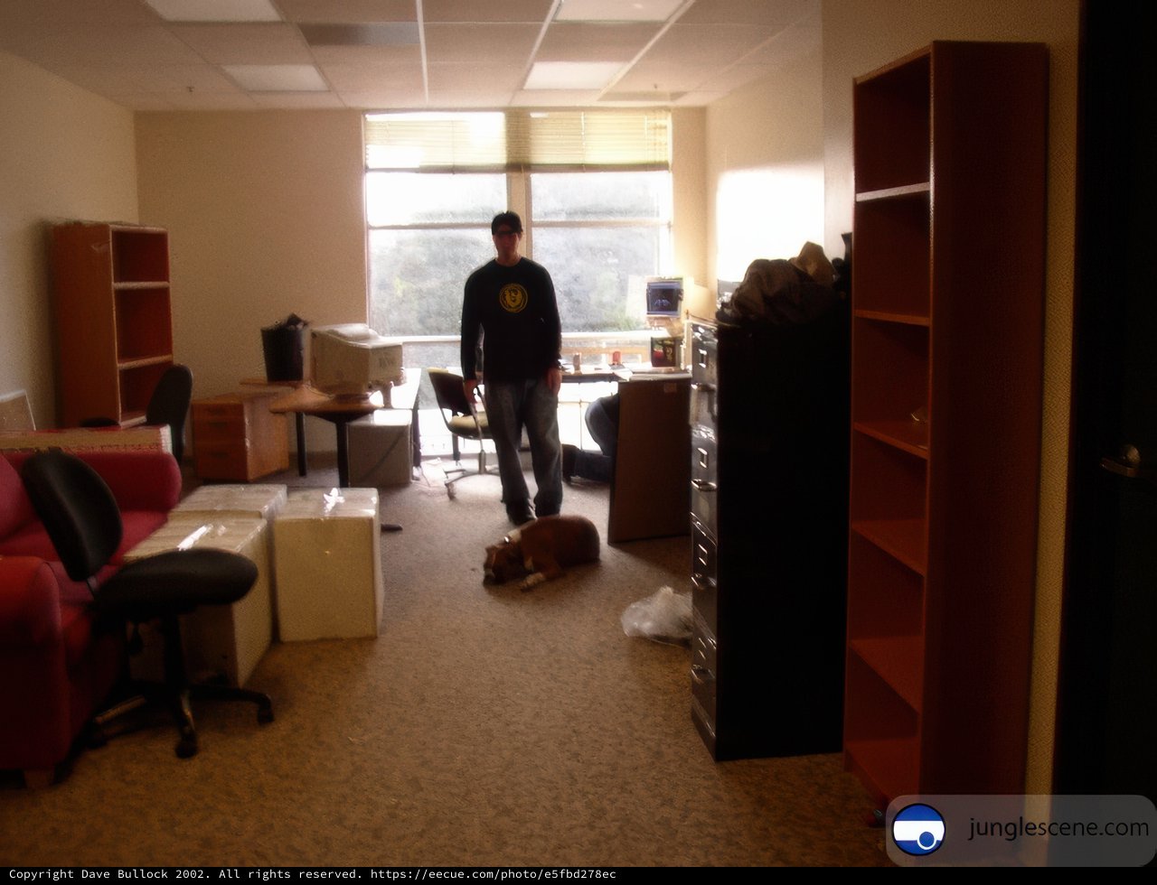 Man's Best Friend in the Office