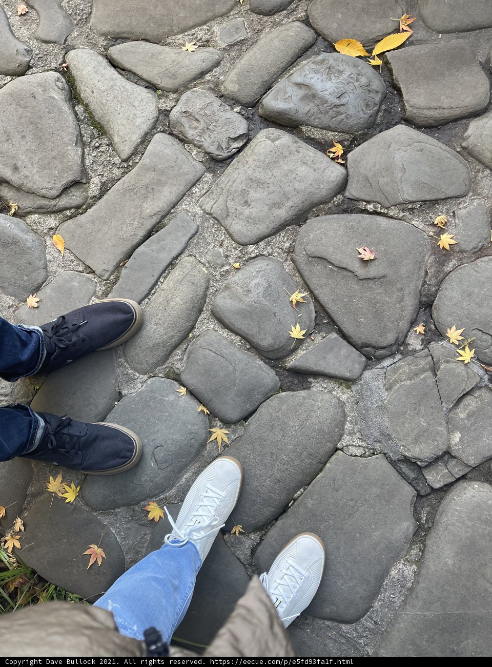 Stone Path Stroll