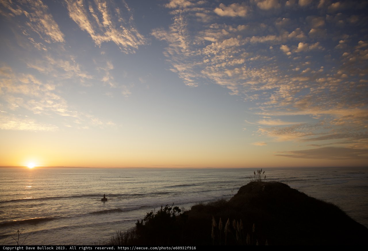 Pumpkin Patch Sunset: Melancholic Coastal Reverie