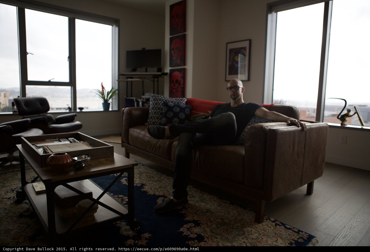 Living Room Sofa Portrait