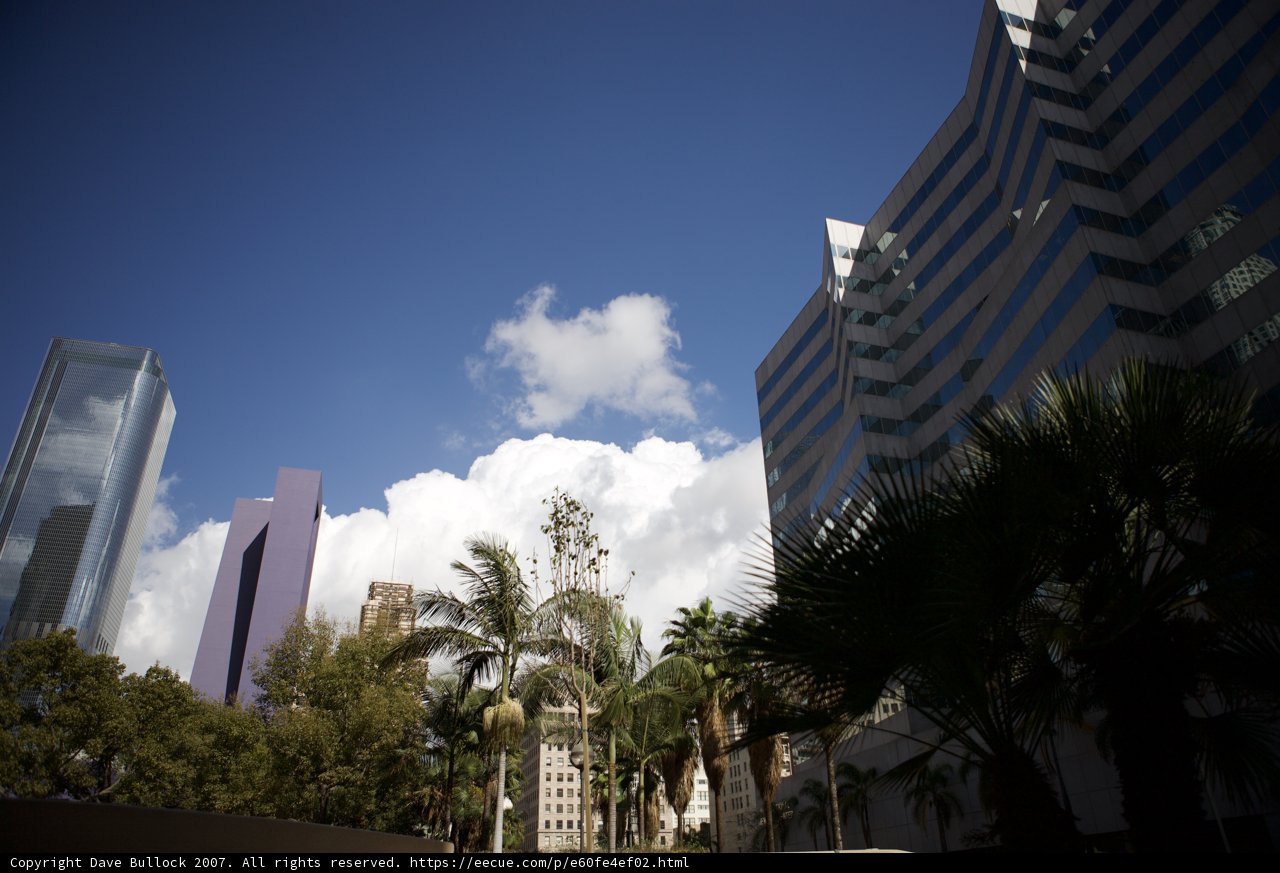 Urban Metropolis in Summer