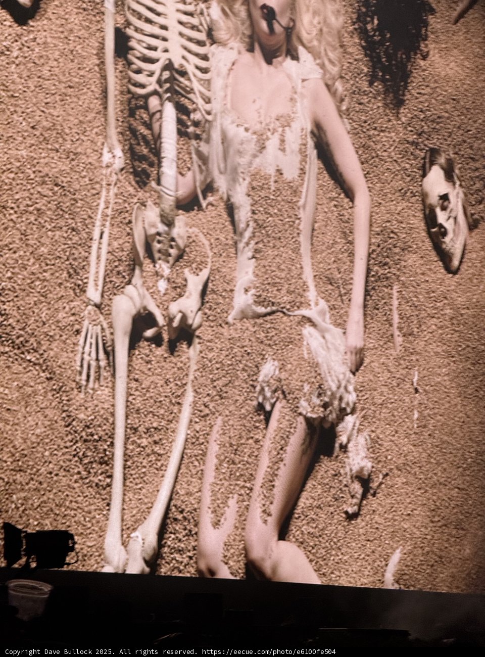 Ethereal Union in Sand