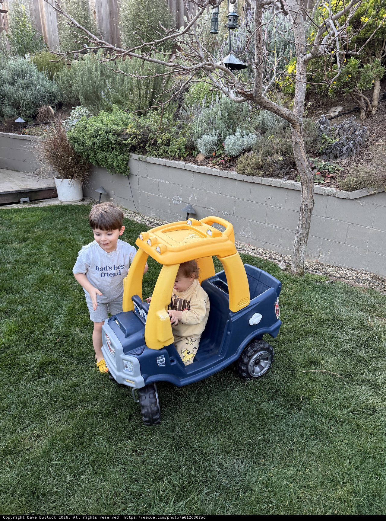 Brothers Playing in Toy Car in Backyard