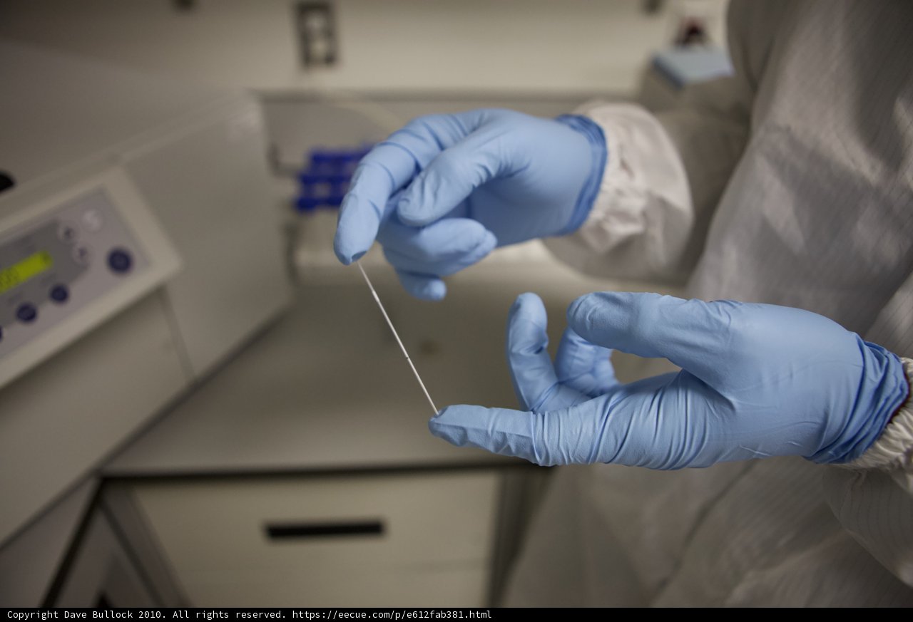 Laboratory Researcher Examining Scientific Data