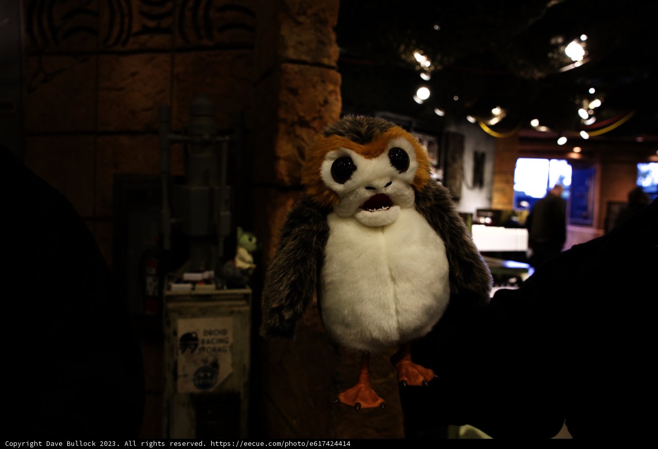 Magical Stuffed Owl at Disneyland