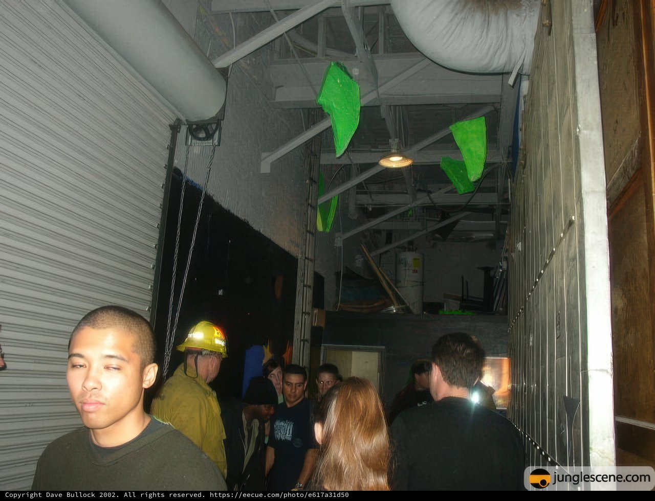 Green Kites in an Urban Hallway