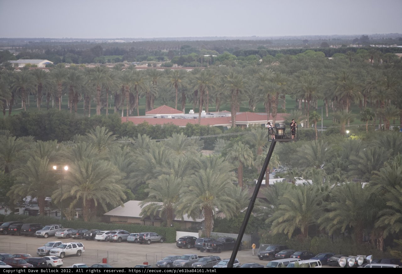 Palms and a Metropolis