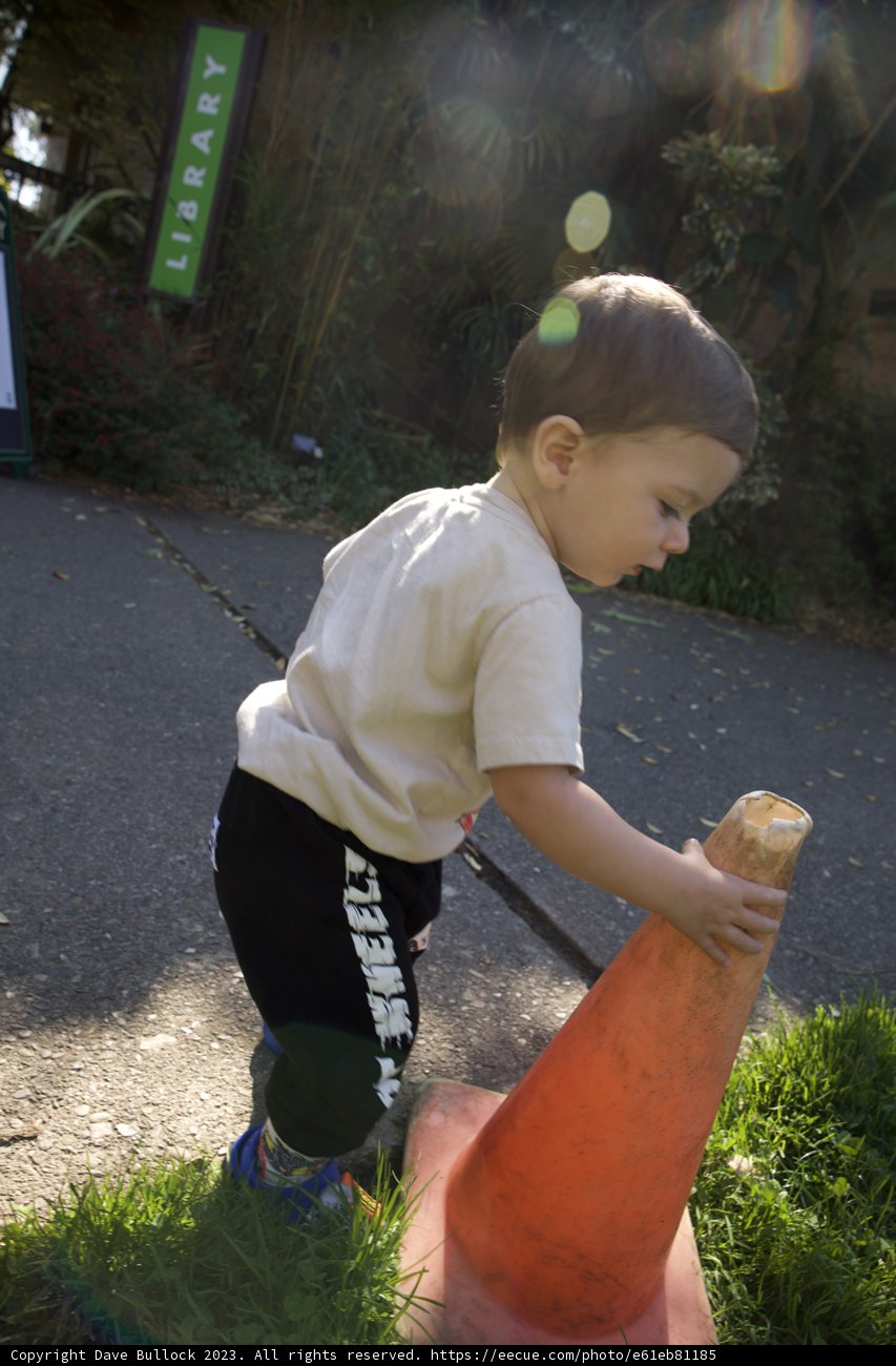 A Day of Fun at San Francisco Botanical Garden